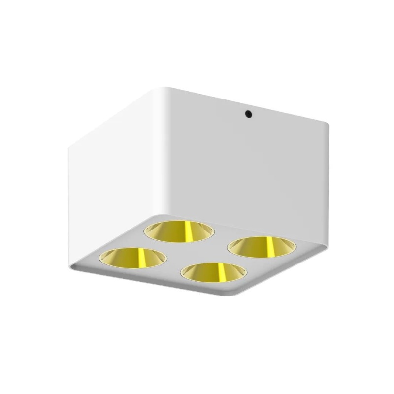 4X20 ART Surface Mounted Downlight 